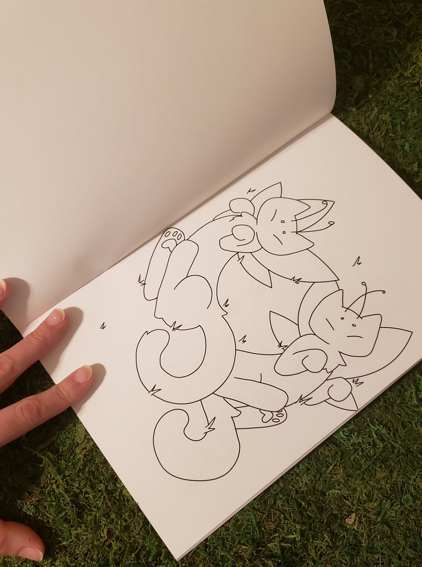 Fairy Kitty Coloring Book : Limited 1st Edition