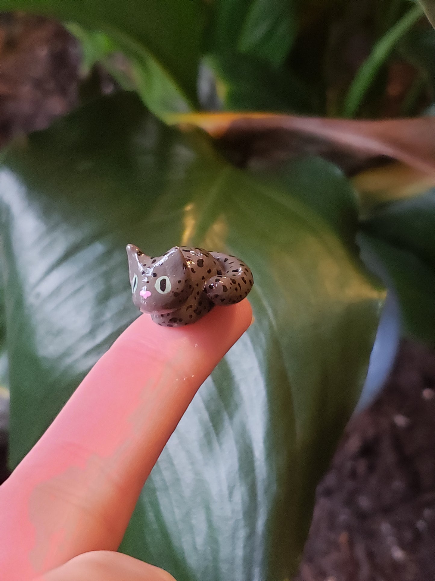 Miniature Cat Desk Buddy with Toys and Bed Accessories!